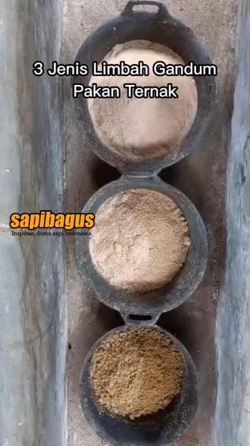 Limbah-Gandum-Pakan-Ternak